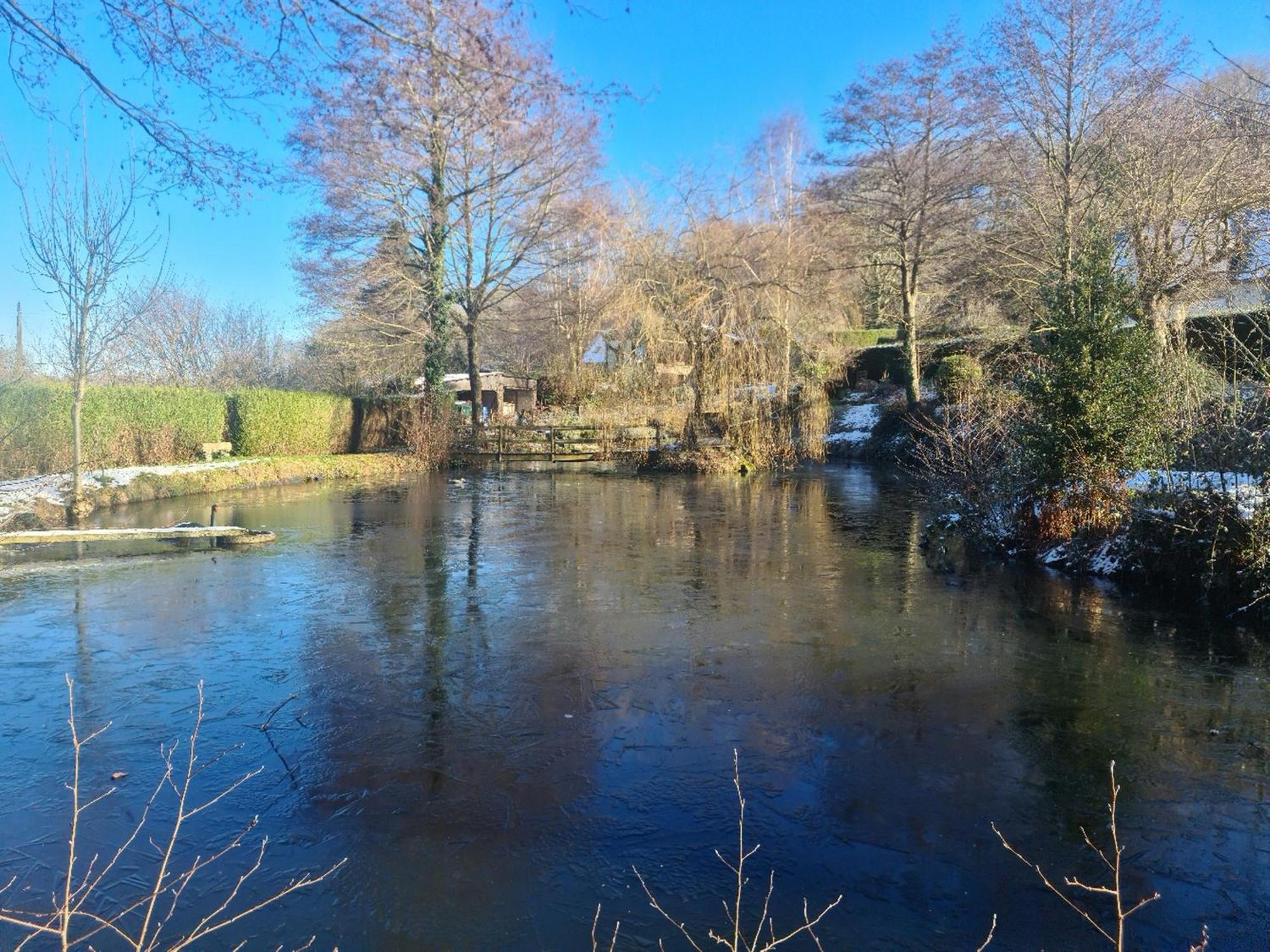 Villa Chambre A La Ferme, Les Vergers Du Muscardin Breel Exterior foto